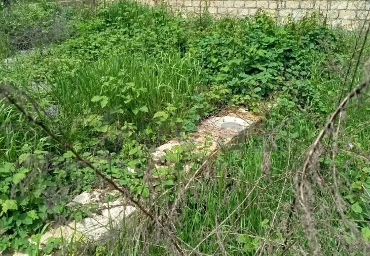 3 sot Torpaq Satılır, Qəbələ
