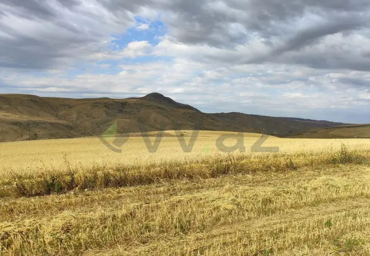 1500 sot Torpaq Satılır, Qobustan