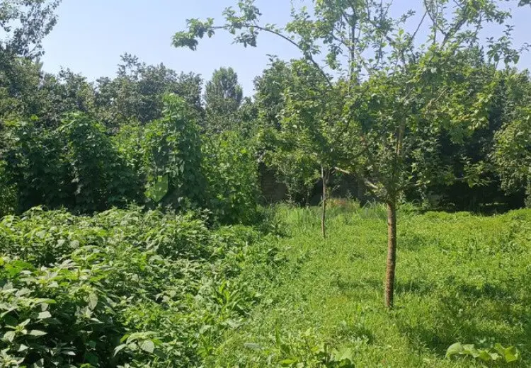 15 sot Torpaq Satılır, Qəbələ