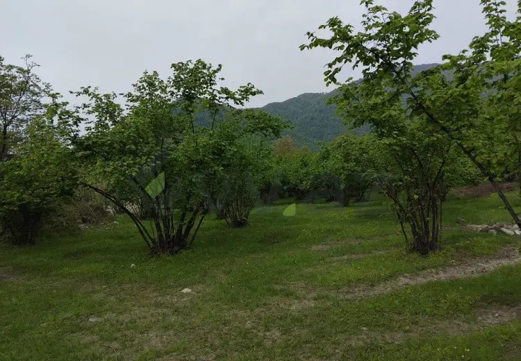 61 sot Torpaq Satılır, Oğuz