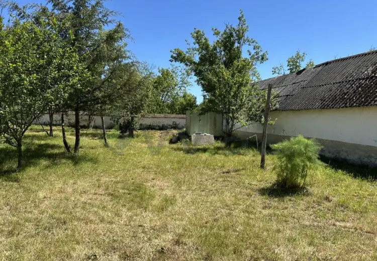 15 sot Torpaq Satılır, Qəbələ