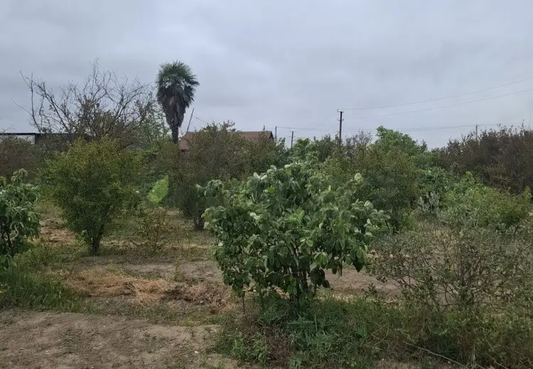 2 otaqlı mənzil Satılır, Gəncə