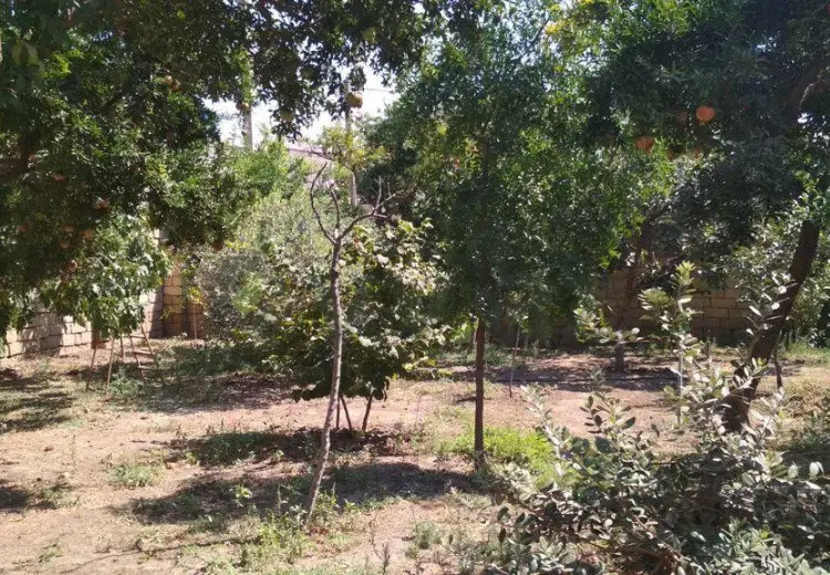 3 sot Torpaq Satılır, Xırdalan