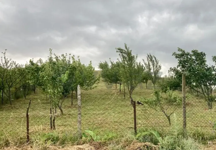 12 sot Torpaq Satılır, Şamaxı