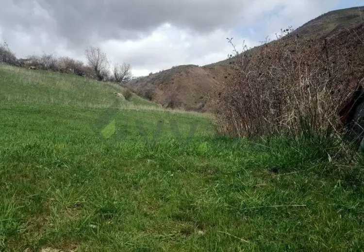 29 sot Torpaq Satılır, Naxçıvan MR
