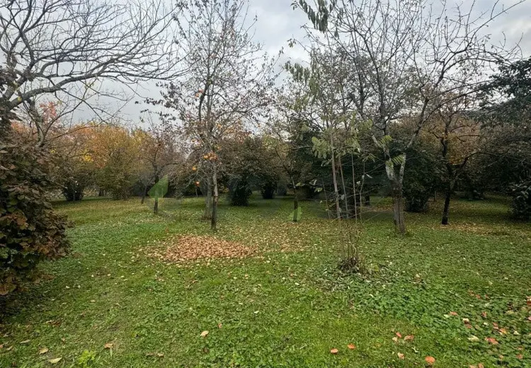 10 sot Torpaq Satılır, Zaqatala