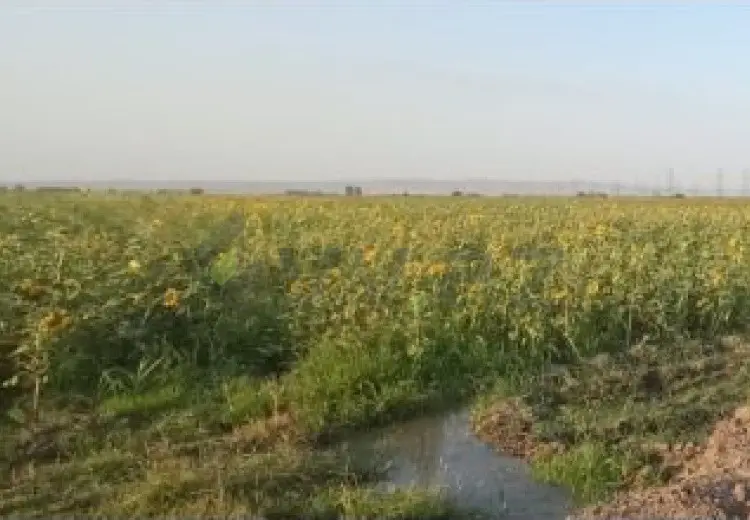 200 sot Torpaq Satılır, Samux