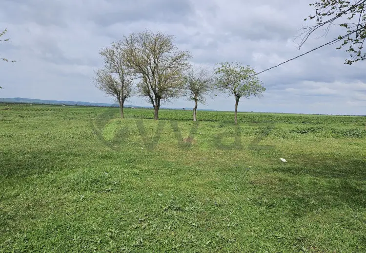 5800 m² Obyekt / Ofis Satılır, Cəlilabad