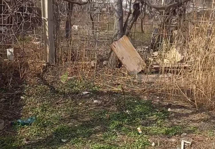 5 sot Torpaq Satılır, Mingəçevir