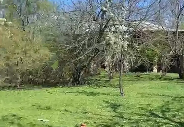 5.2 sot Torpaq Satılır, Qəbələ