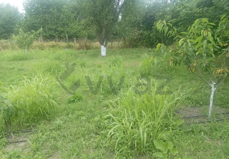 10 sot Torpaq Satılır, Quba