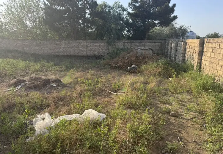 6 sot Torpaq Satılır, Novxanı, Abşeron