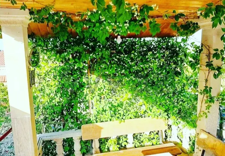 3 otaqlı mənzil Kirayə (günlük), Novxanı, Abşeron