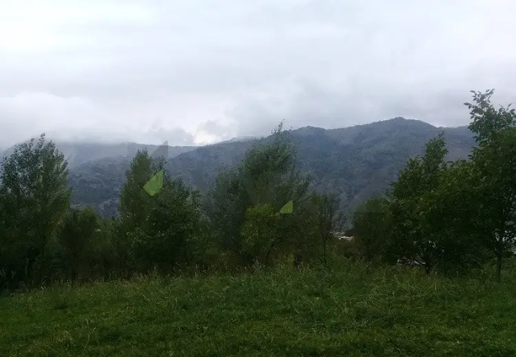 16 sot Torpaq Satılır, İsmayıllı