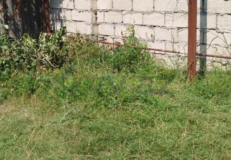 12 sot Torpaq Satılır, İsmayıllı