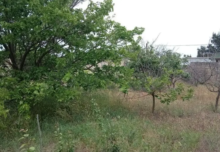 4 sot Torpaq Satılır, Novxanı, Abşeron