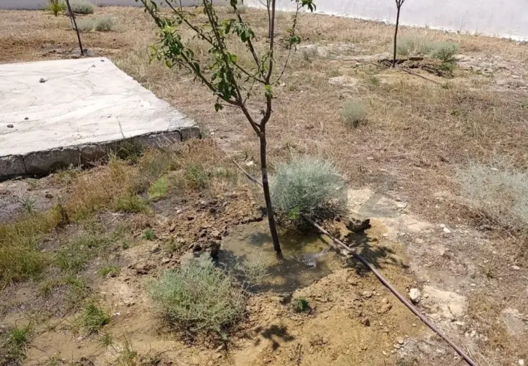 10 sot Torpaq Satılır, Türkan, Xəzər, Bakı