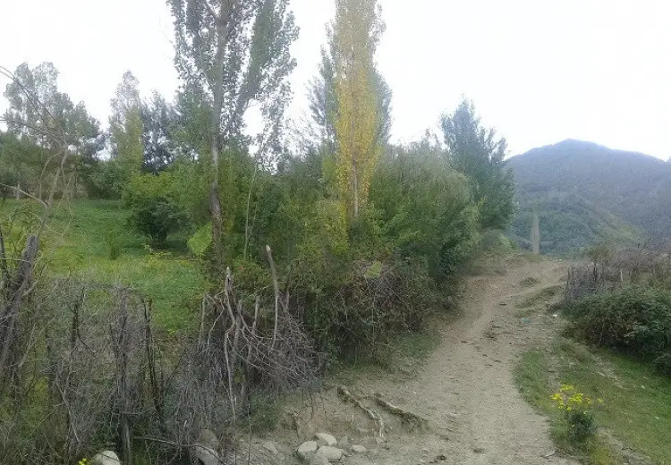 16 sot Torpaq Satılır, İsmayıllı