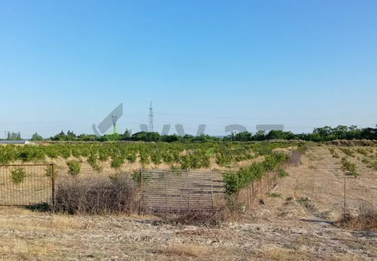 200 sot Torpaq Satılır, Göyçay