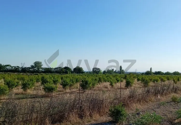 200 sot Torpaq Satılır, Göyçay