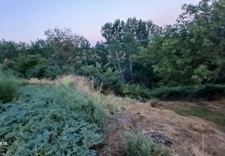 4 otaqlı mənzil Satılır, Şamaxı
