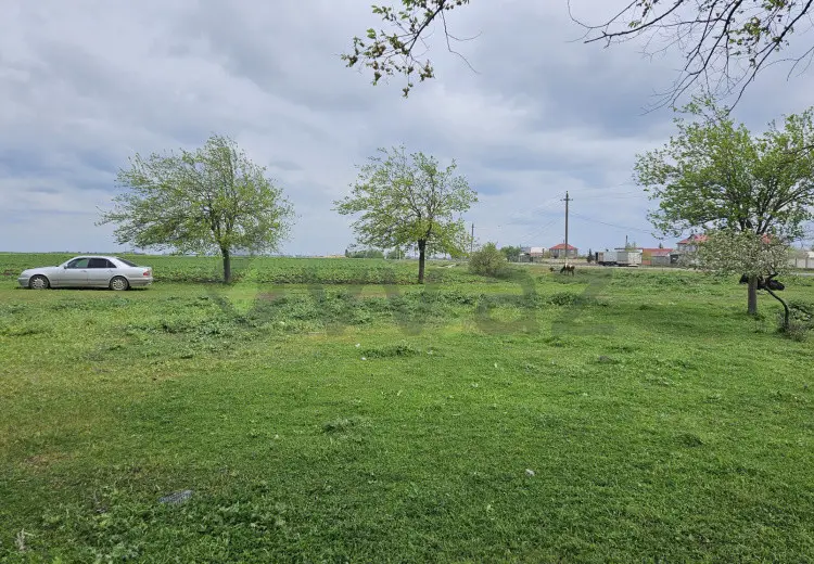 5800 m² Obyekt / Ofis Satılır, Cəlilabad