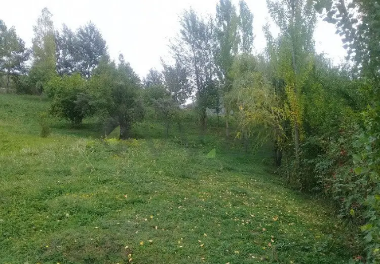 16 sot Torpaq Satılır, İsmayıllı