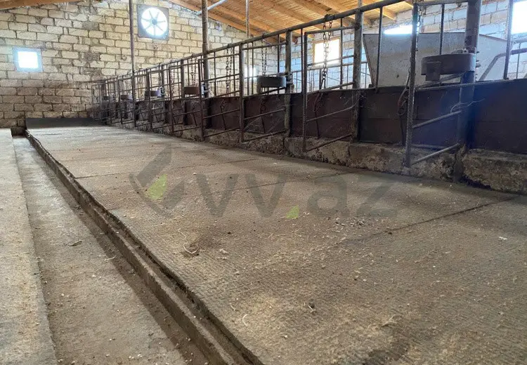 110000 m² Obyekt / Ofis Satılır, Saatlı