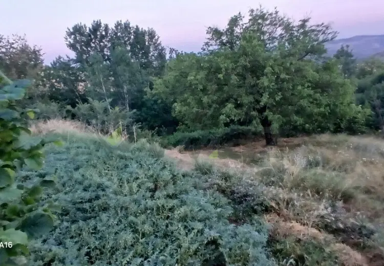 4 otaqlı mənzil Satılır, Şamaxı