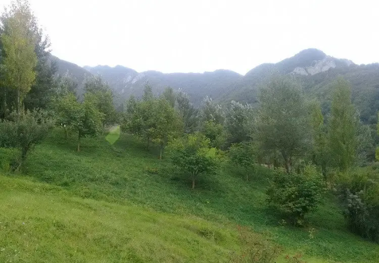 16 sot Torpaq Satılır, İsmayıllı