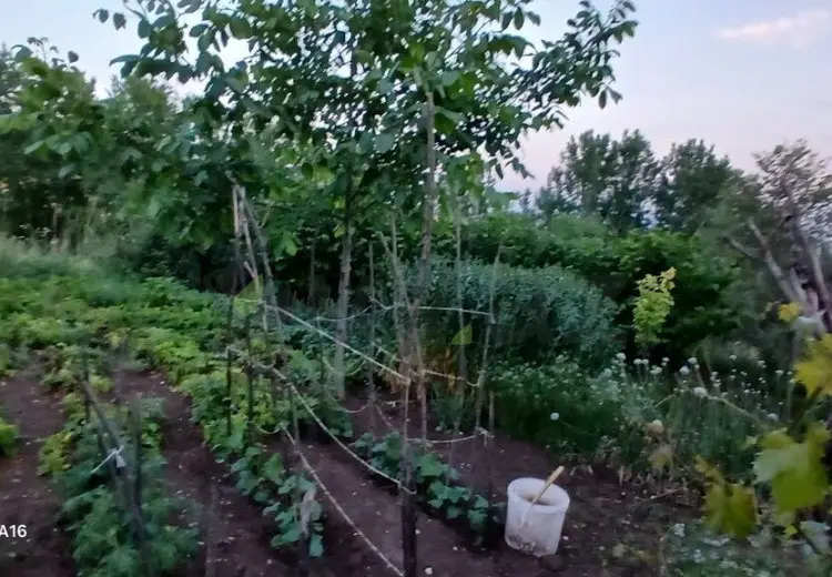 4 otaqlı mənzil Satılır, Şamaxı