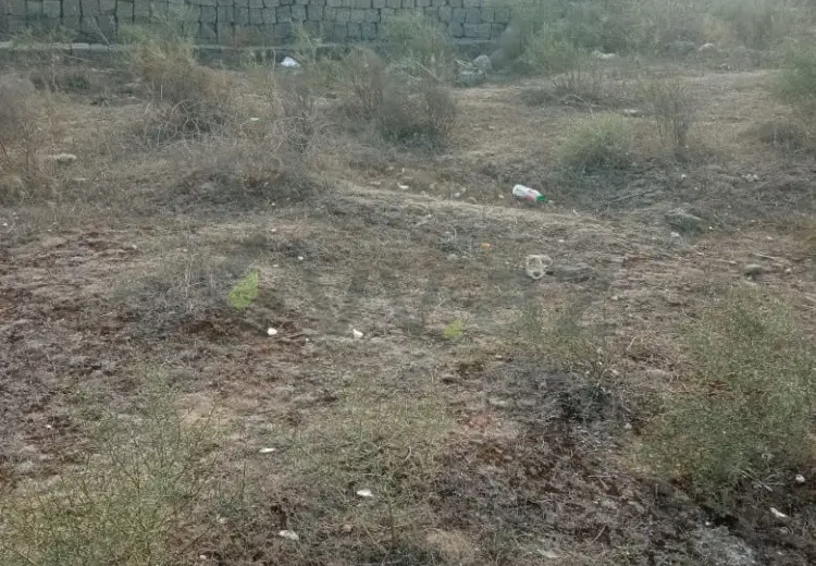 58.5 sot Torpaq Satılır, Suraxanı qəs., Suraxanı, Bakı