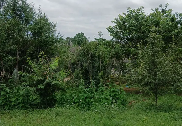 3 sot Torpaq Satılır, Qusar