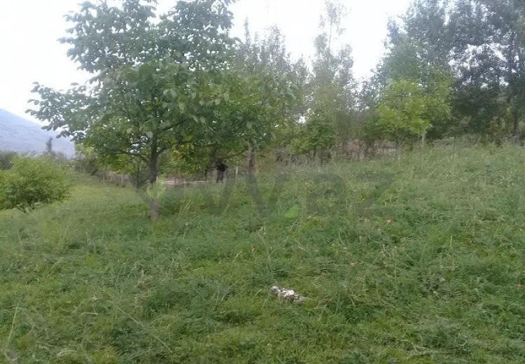 16 sot Torpaq Satılır, İsmayıllı