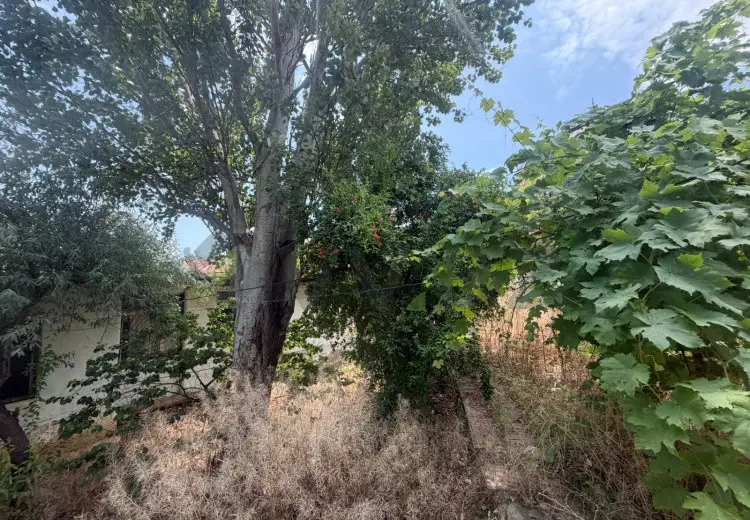 5 sot Torpaq Satılır, Qaraçuxur qəs., Suraxanı, Bakı