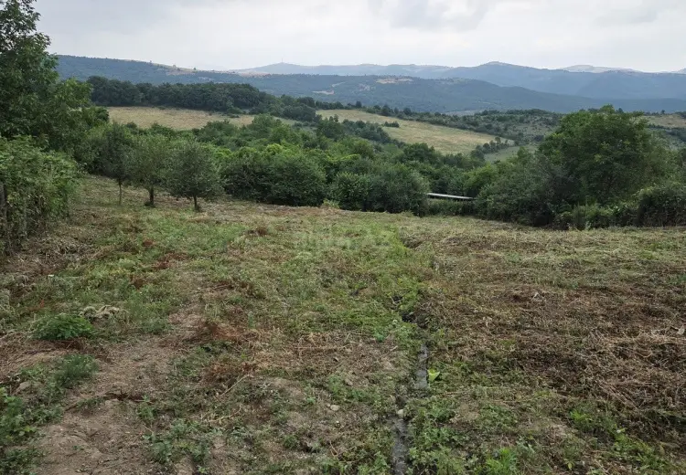 24 sot Torpaq Satılır, Şabran