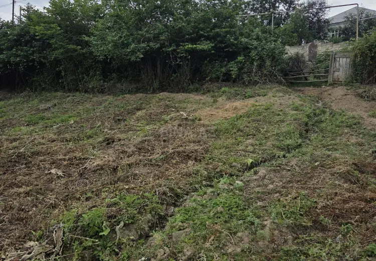 24 sot Torpaq Satılır, Şabran