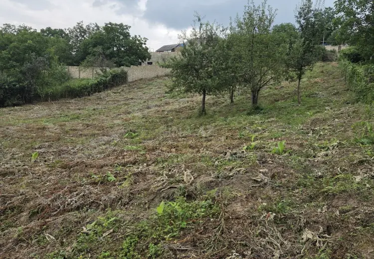 24 sot Torpaq Satılır, Şabran