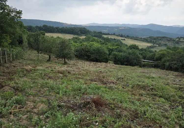 24 sot Torpaq Satılır, Şabran