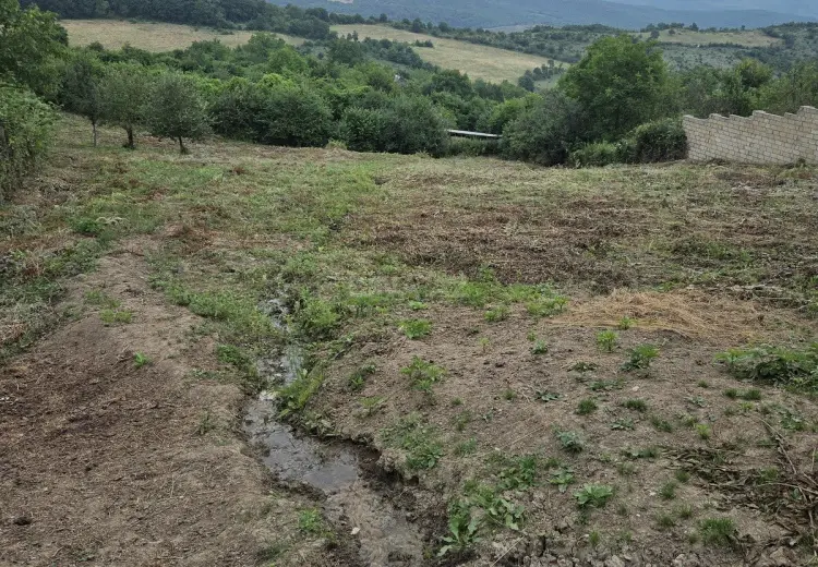 24 sot Torpaq Satılır, Şabran