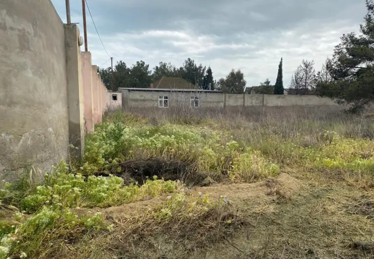 24 sot Torpaq Satılır, Mərdəkan, Xəzər, Bakı