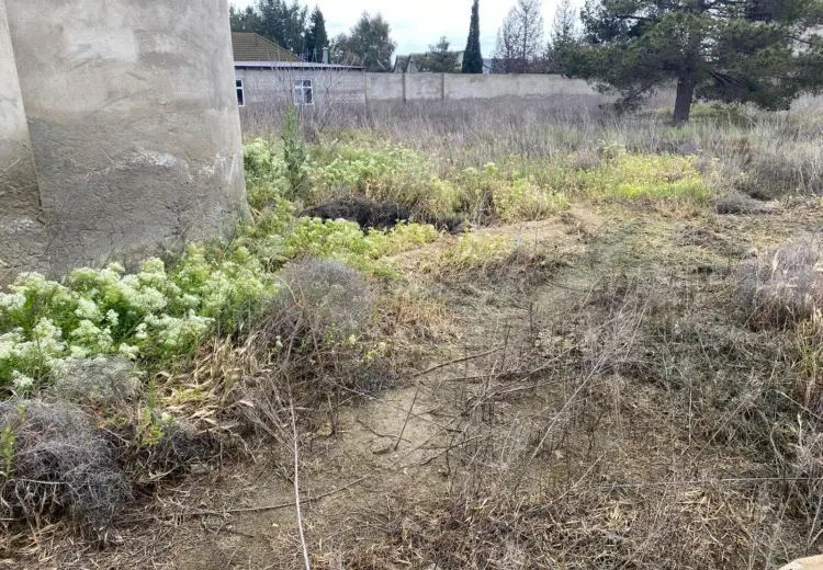24 sot Torpaq Satılır, Mərdəkan, Xəzər, Bakı