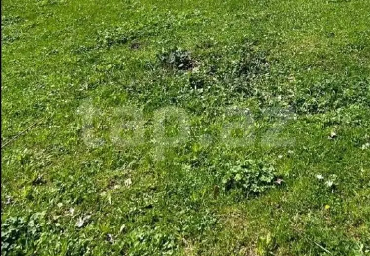 20 sot Torpaq Satılır, Quba