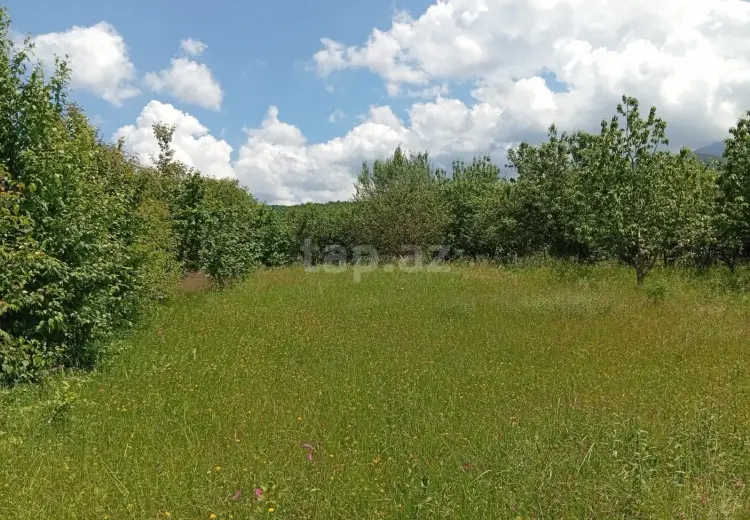 15 sot Torpaq Satılır, Quba