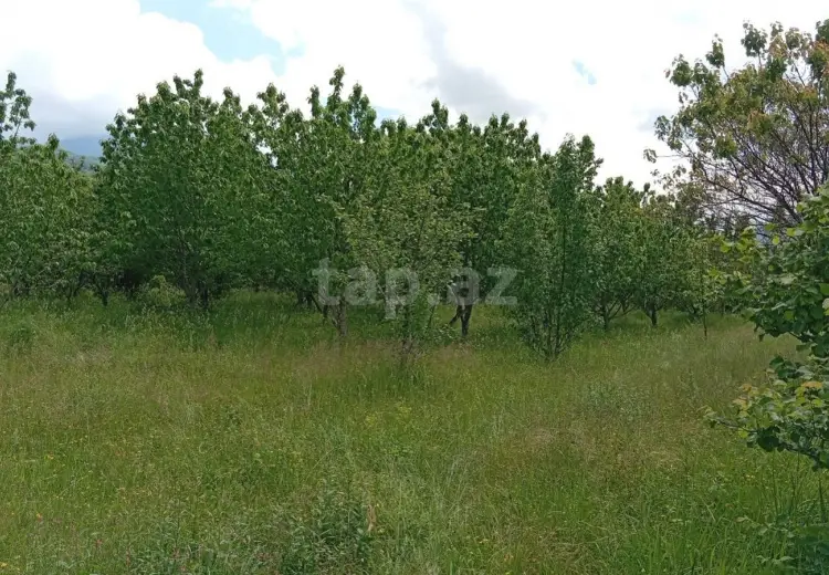 15 sot Torpaq Satılır, Quba