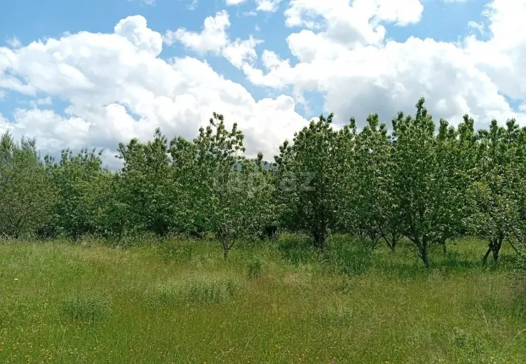 15 sot Torpaq Satılır, Quba