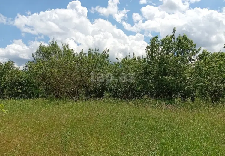 15 sot Torpaq Satılır, Quba