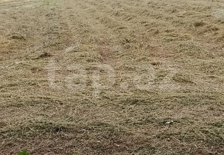 929 sot Torpaq Satılır, Ağdam