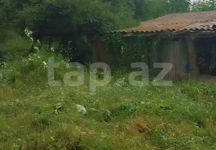12 sot Torpaq Satılır, Qax