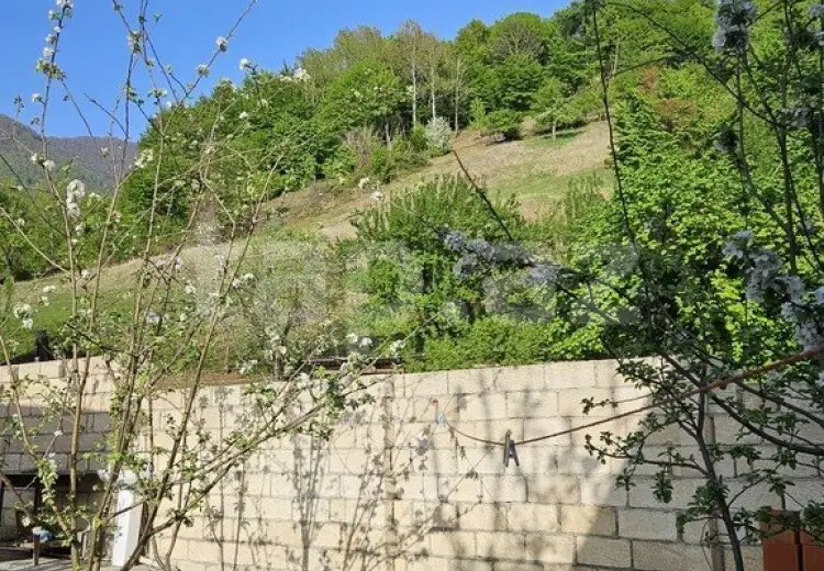 3 otaqlı mənzil Kirayə (günlük), İsmayıllı